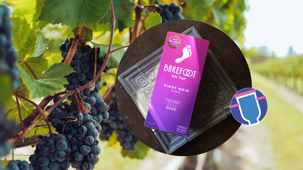 Look! What's on Tap? BAREFOOT On Tap PINOT NOIR (Original Tasting Date: (Winter 2019)